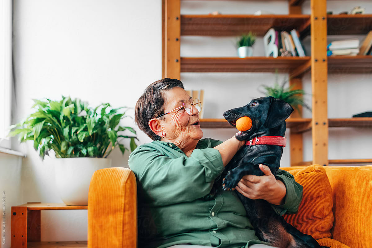 Happy older woman sitting in her living room with her small dog, relaxing at home.